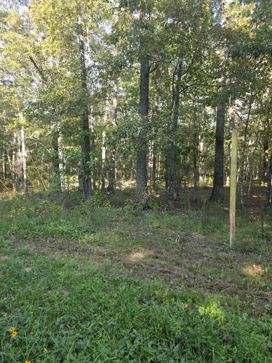 0 Pepper Road, Taft, TN 38488 - #3