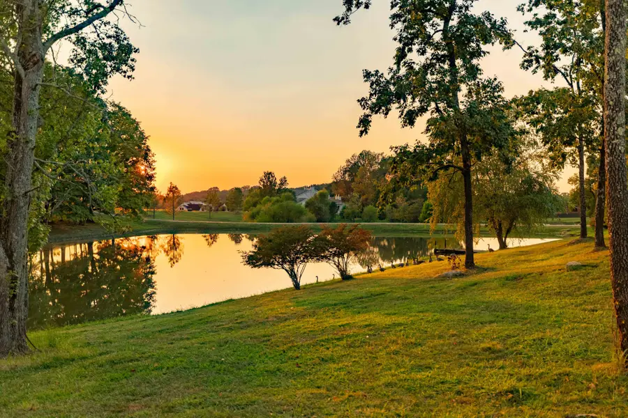 8201 Jolene Dr, College Grove, TN 37046 - #2