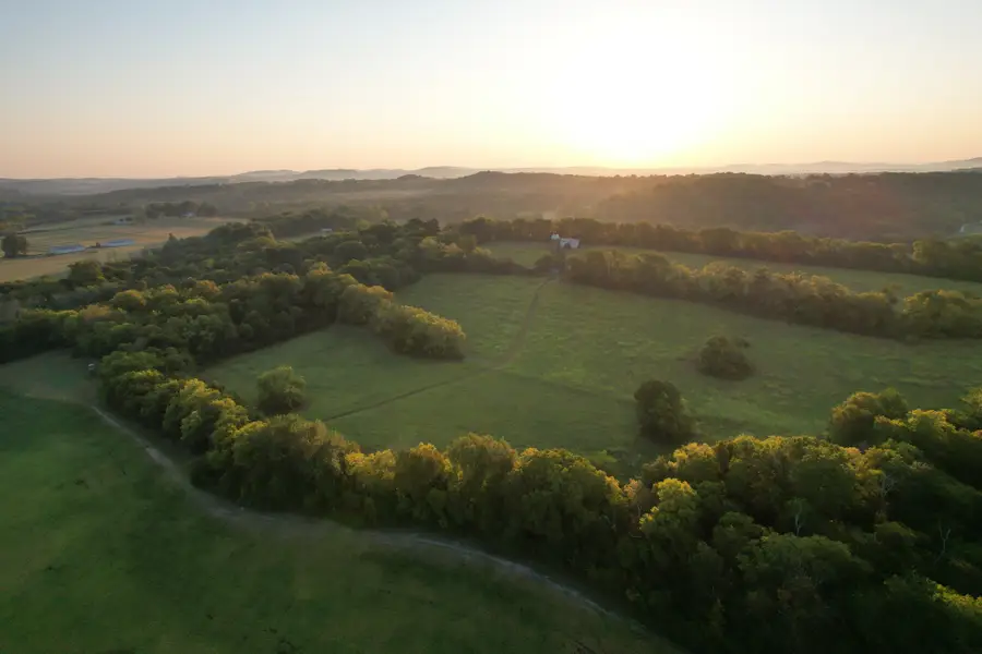 8931 Horton Hwy, College Grove, TN 37046 - #2