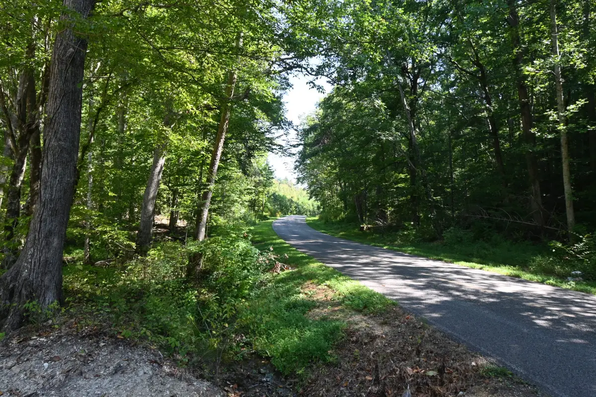 1738 Swindle Creek Rd, Linden, TN 37096 - #1