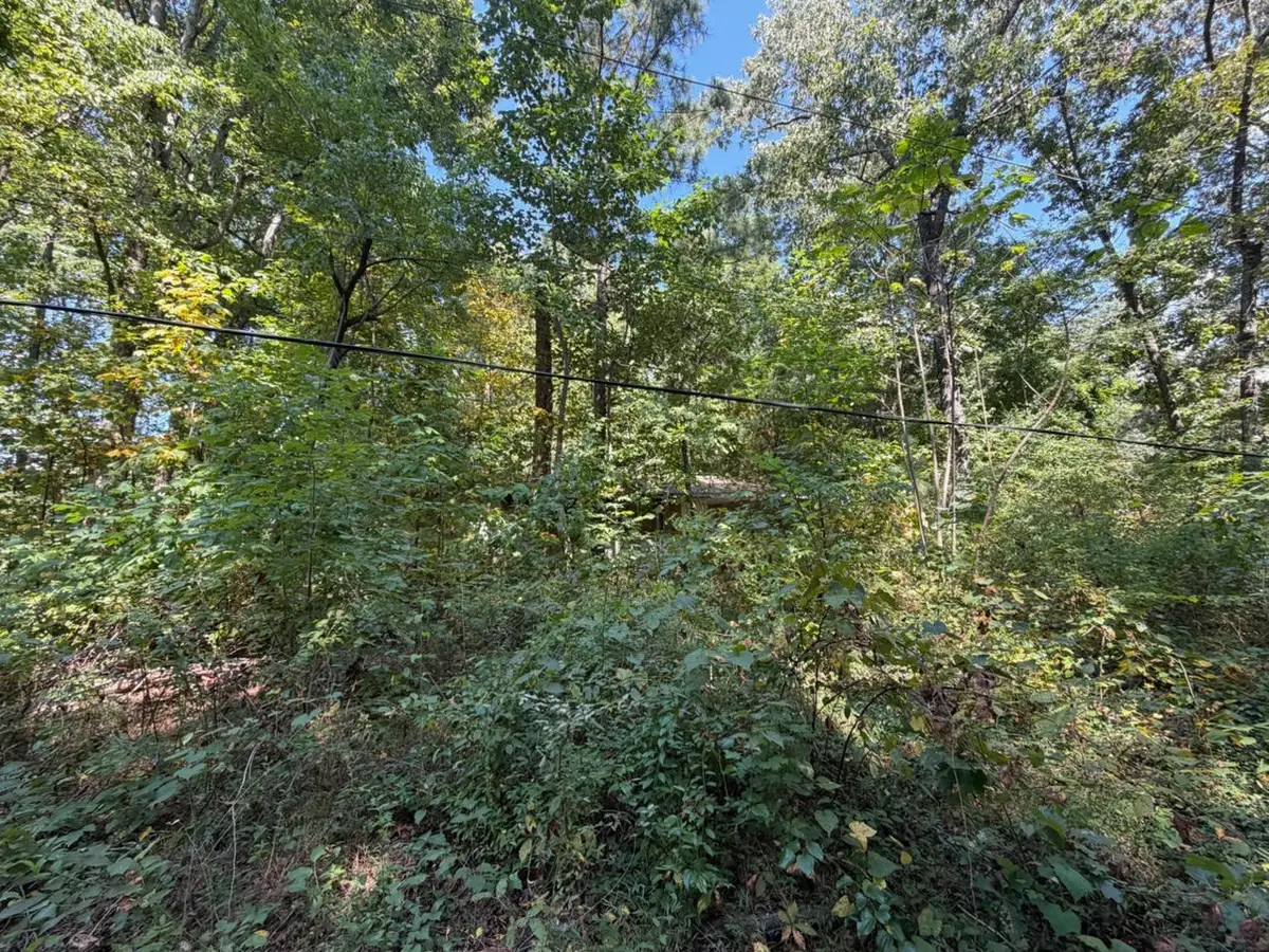 0 Michigan Avenue Road Ne, Cleveland, TN 37323 - #1