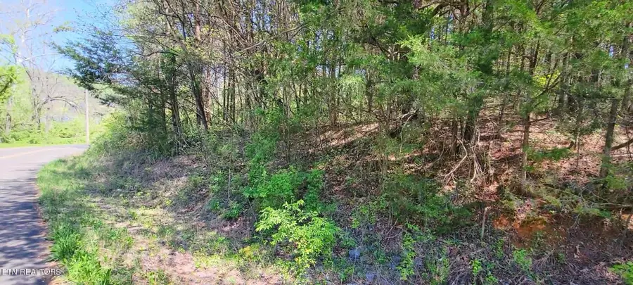 110 West Drive, Parrottsville, TN 37843 - #2