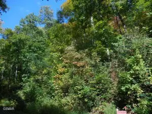 0 Off Hidden Valley, Gatlinburg, TN 37738 - #1