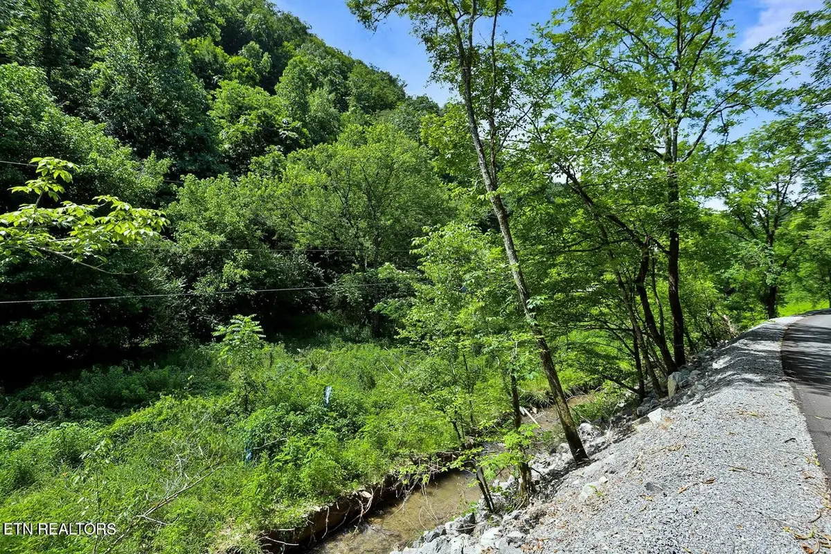 0 Caney Creek Rd, Pigeon Forge, TN 37863 - #1