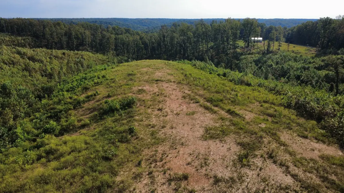 1 Springer Rd, Hohenwald, TN 38462 - #1