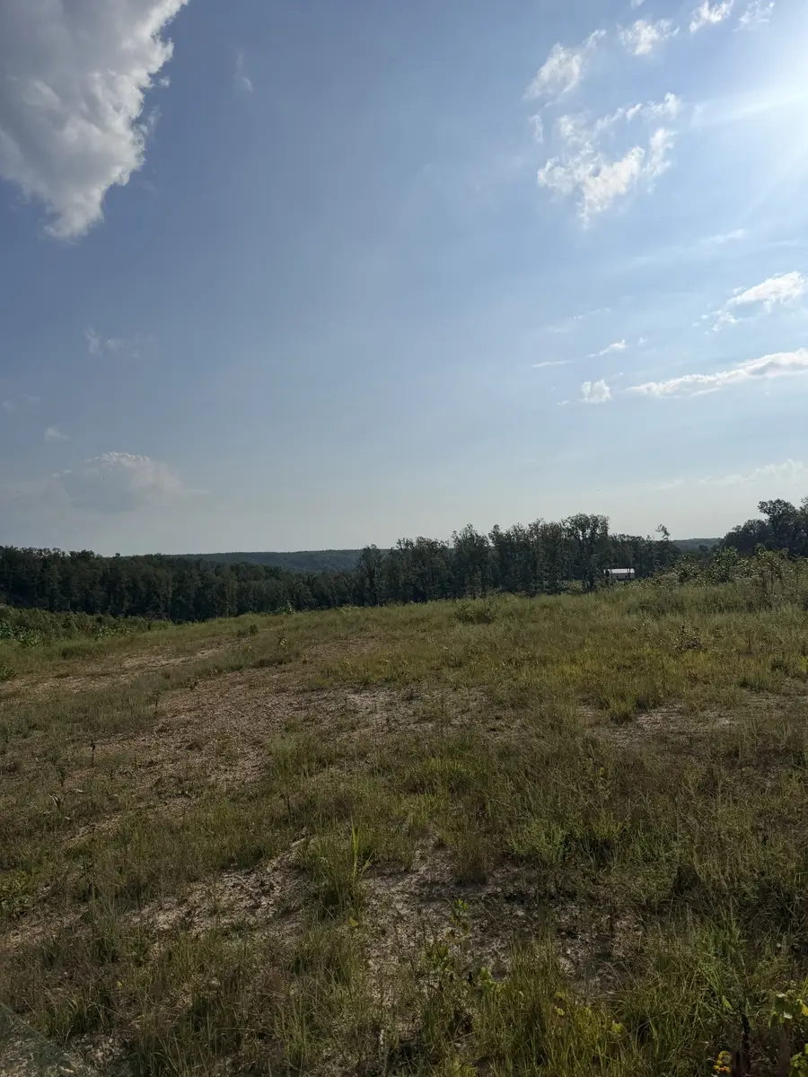1 Springer Rd, Hohenwald, TN 38462 - #2