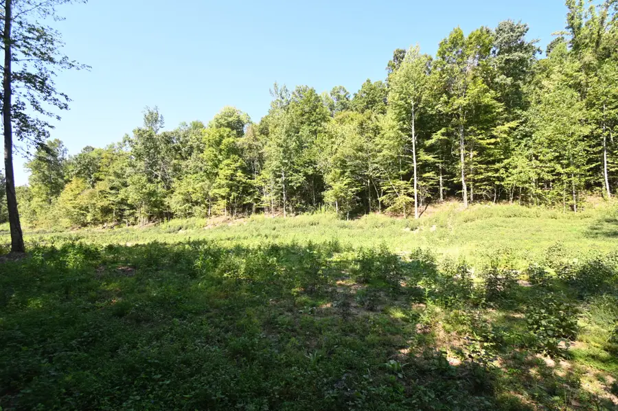 1928 Swindle Creek Rd, Linden, TN 37096 - #2