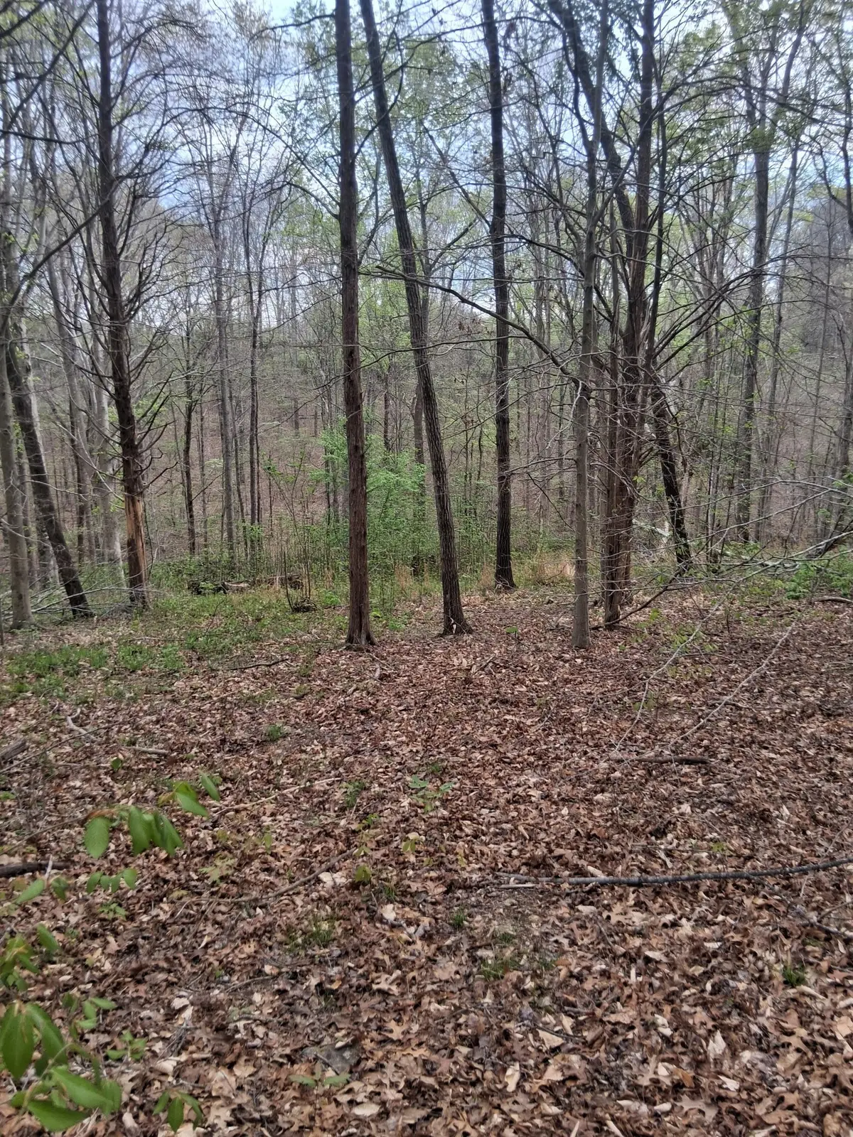 0 W Garrets Creek Rd, Westmoreland, TN 37186 - #1