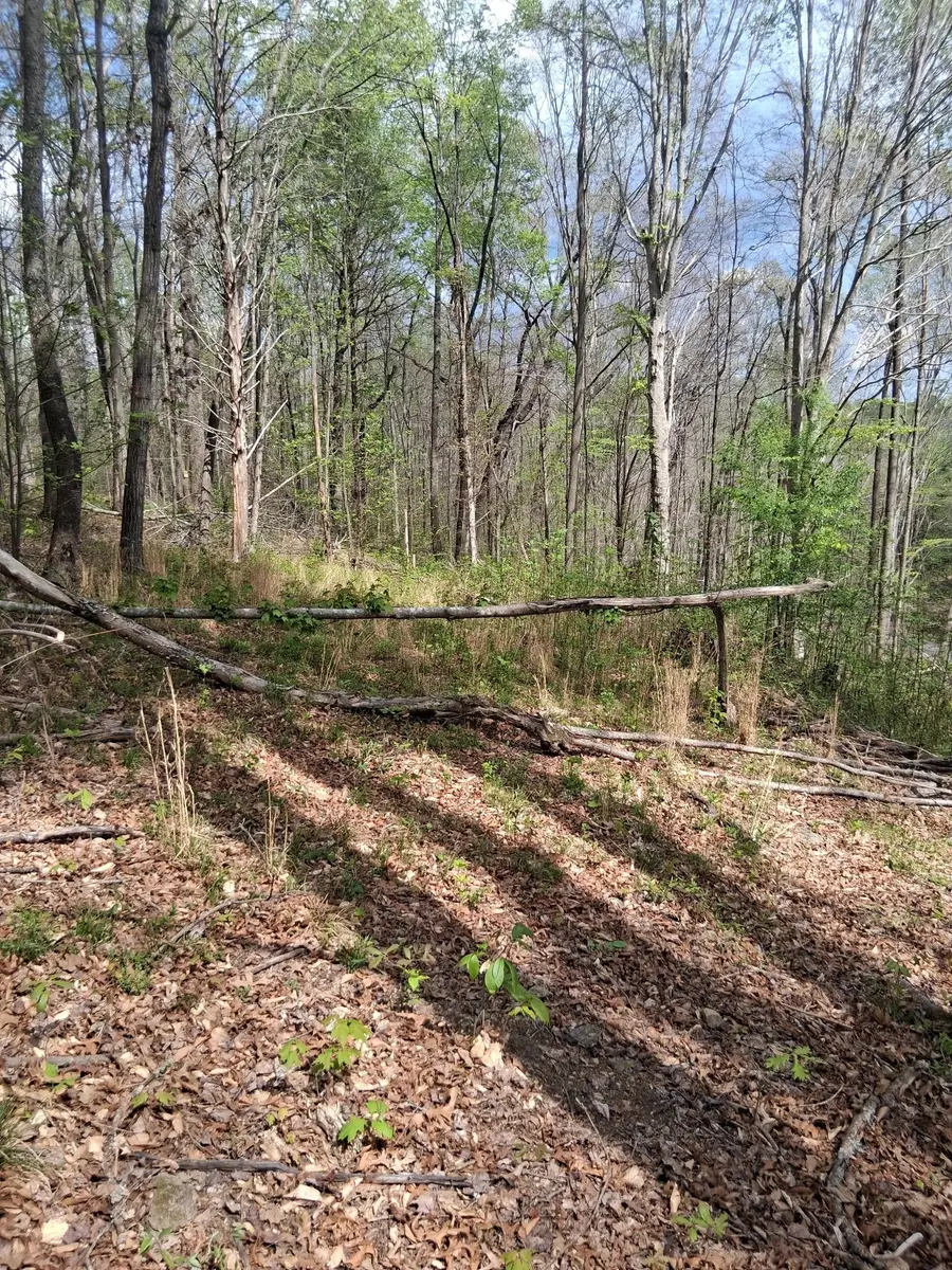0 W Garrets Creek Rd, Westmoreland, TN 37186 - #3