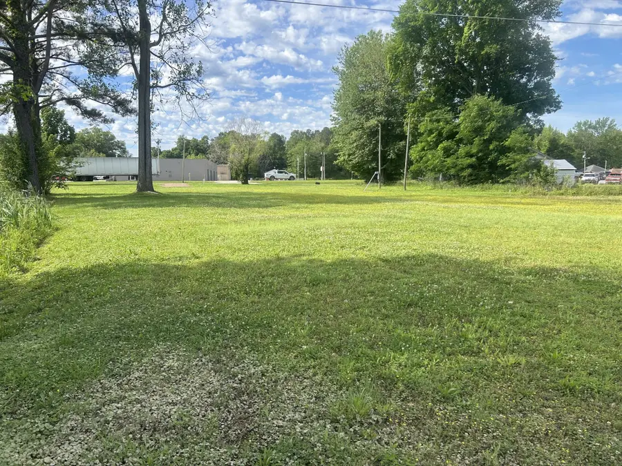 90 Creek St, Big Sandy, TN 38221 - #2