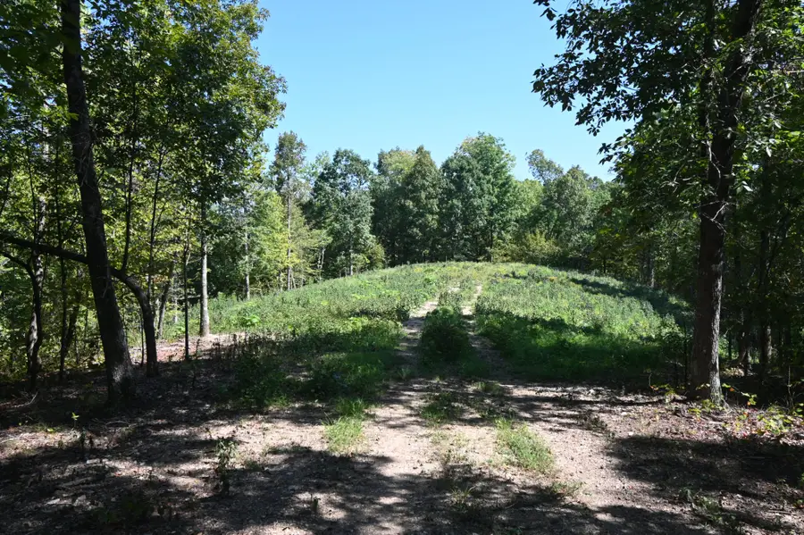 2038 Swindle Creek Rd, Linden, TN 37096 - #2
