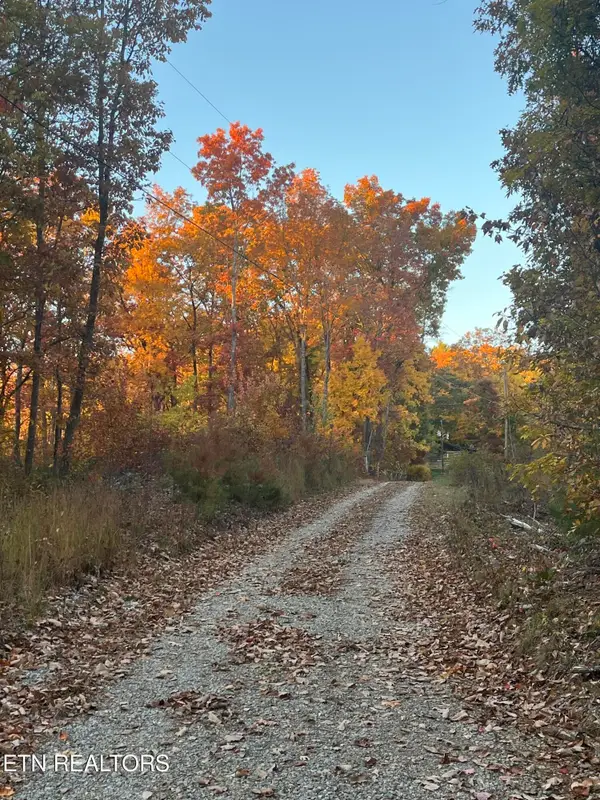 2742 Black Mountain Road Rd, Tellico Plains, TN 37385