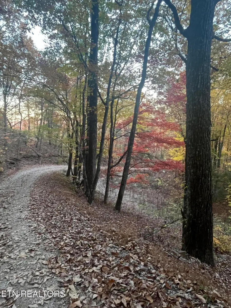 2742 Black Mountain Road Rd, Tellico Plains, TN 37385 - #2