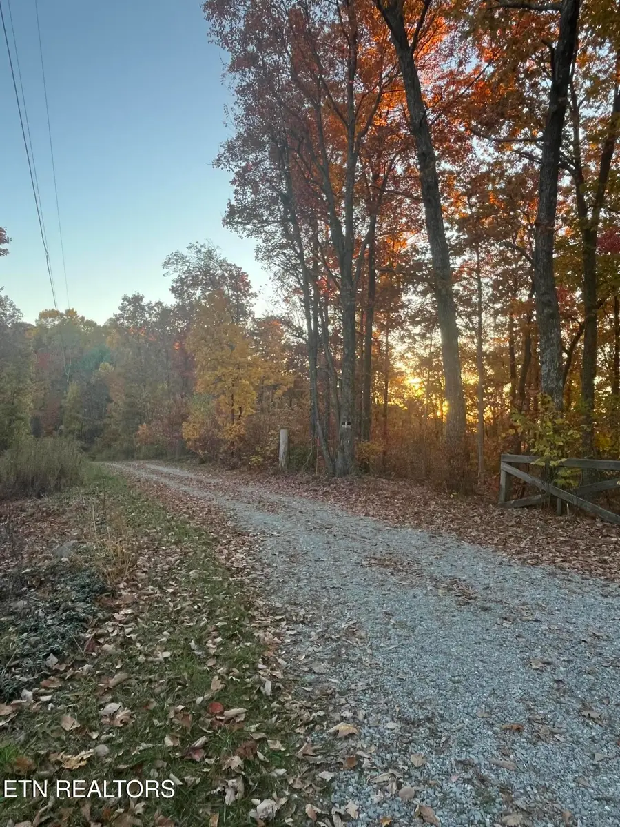 2742 Black Mountain Road Rd, Tellico Plains, TN 37385 - #3