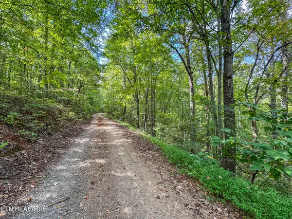 552 New Providence Rd, Tellico Plains, TN 37385