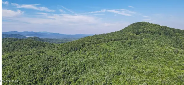 111 Edwards Rd, Tellico Plains, TN 37385