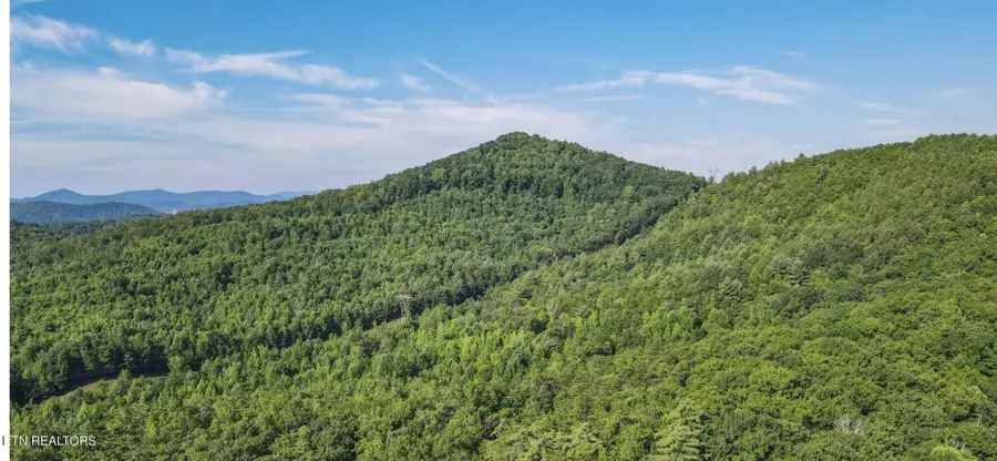 111 Edwards Rd, Tellico Plains, TN 37385 - #2