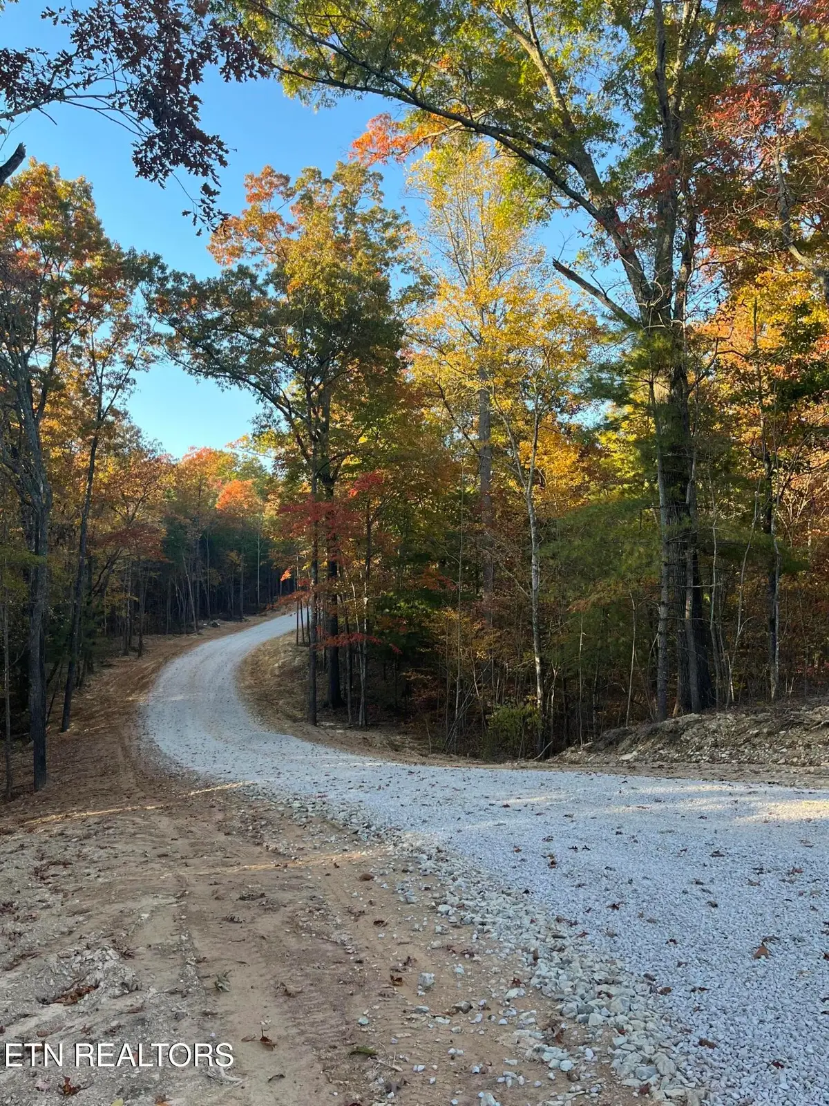 109 Cherokee Path, Tellico Plains, TN 37385 - #1