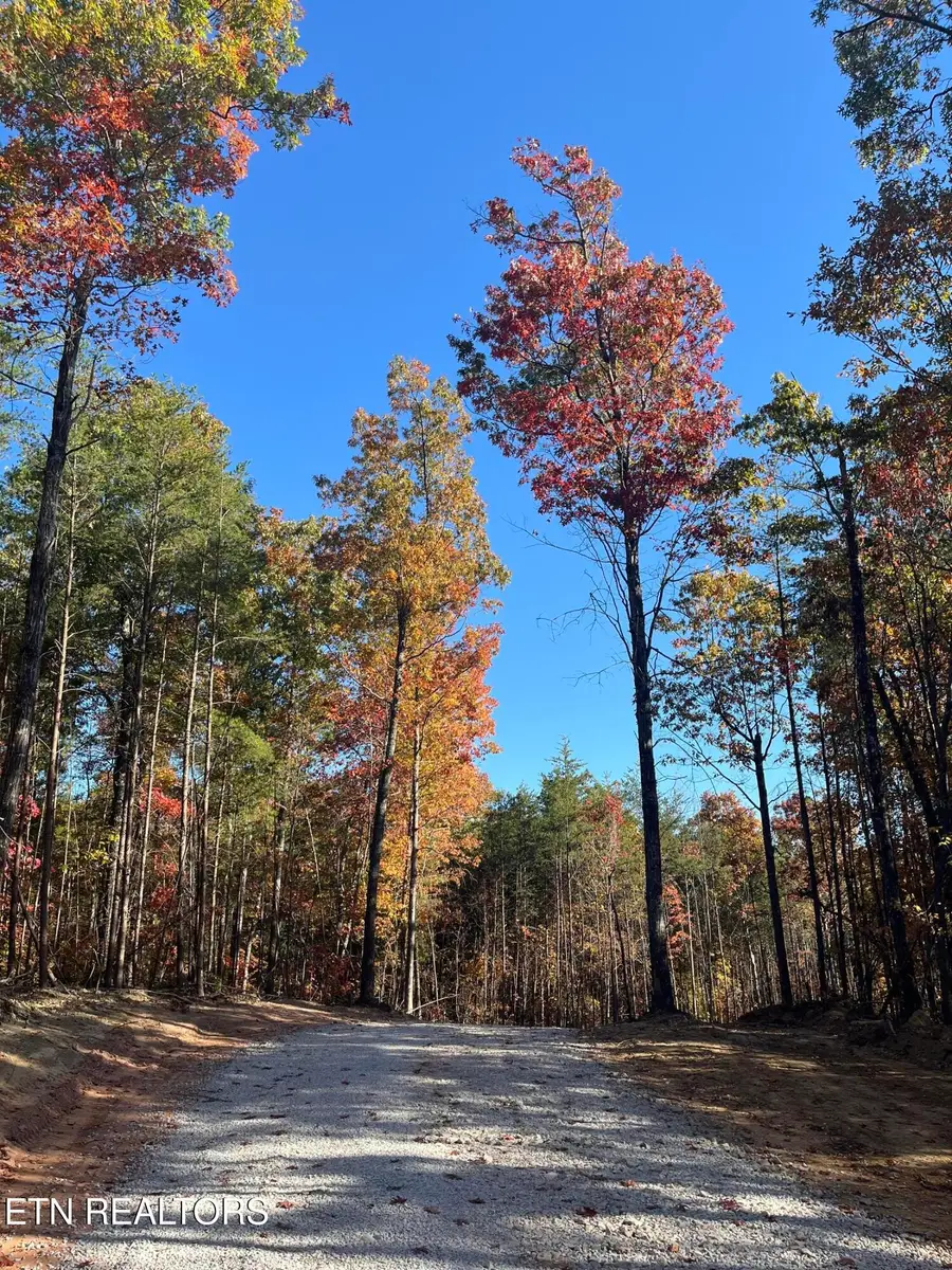 107 Cherokee Path, Tellico Plains, TN 37385 - #2