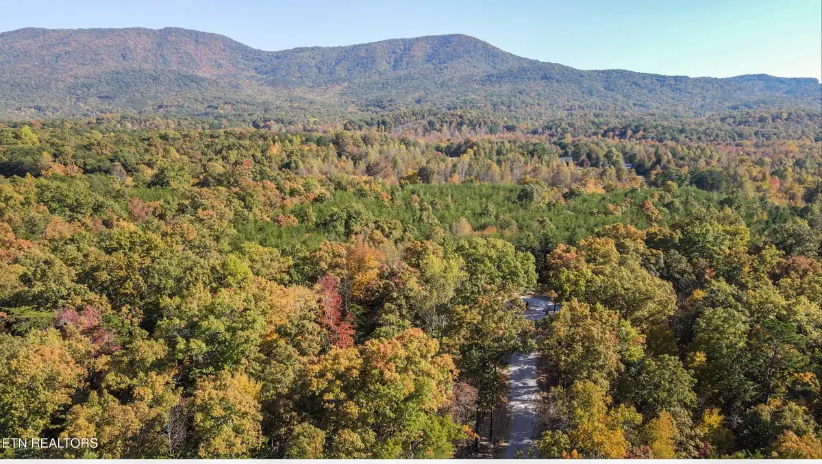103 Cherokee Path, Tellico Plains, TN 37385 - #1