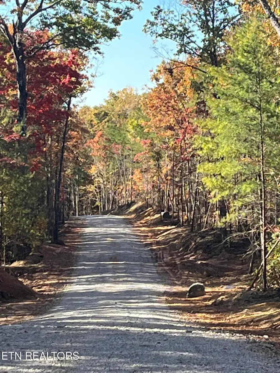 103 Cherokee Path, Tellico Plains, TN 37385 - #2