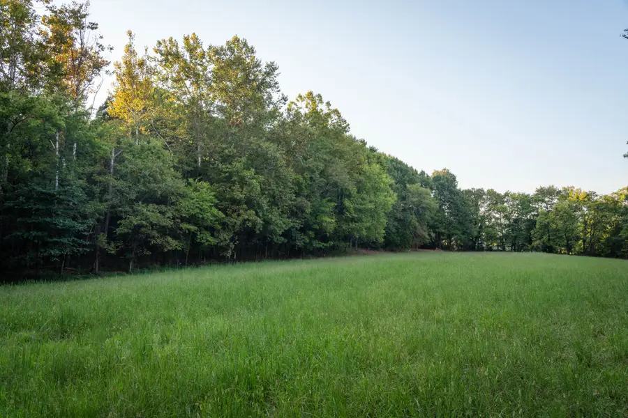 6807 Cross Keys Rd, College Grove, TN 37046 - #2