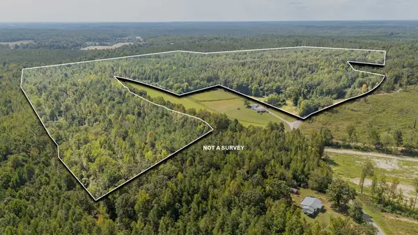 5887 Beauty Hill Rd, Adamsville, TN 38310