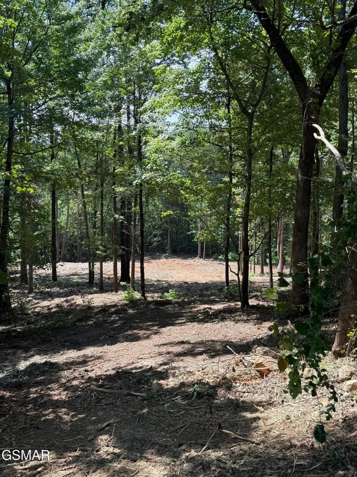150 Mountaineer Trail, Sevierville, TN 37862 - #1