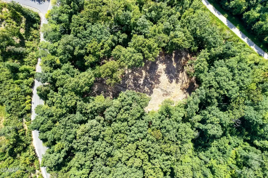 150 Mountaineer Trail, Sevierville, TN 37862 - #3