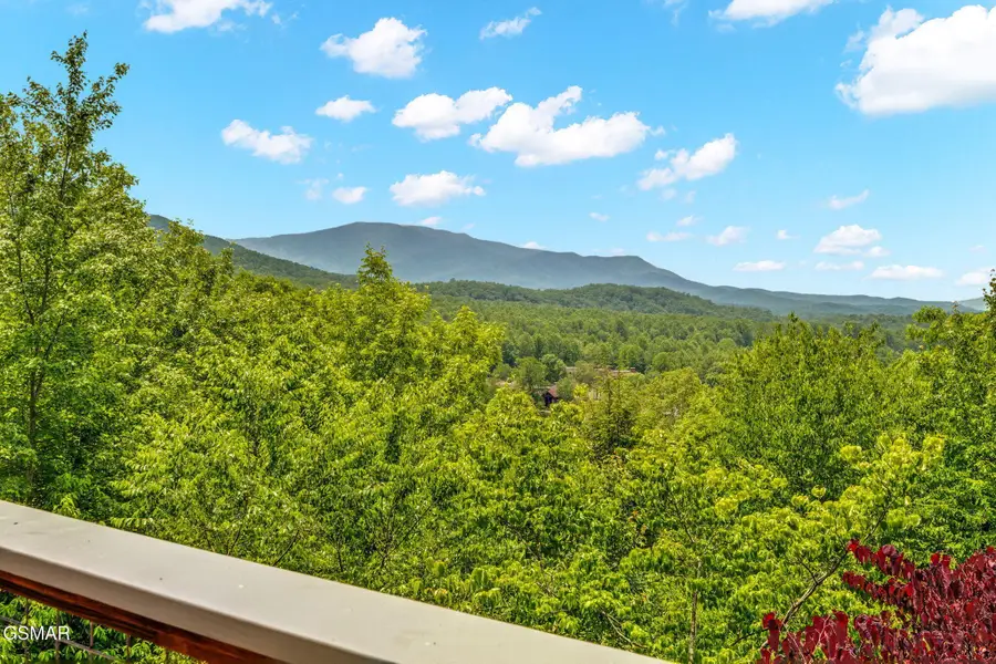 347 Overview Drive, Gatlinburg, TN 37738 - #3