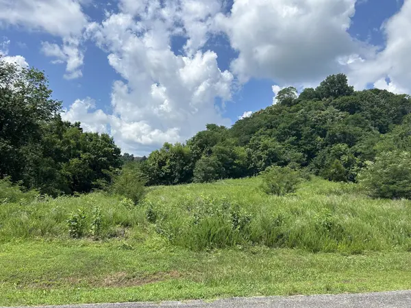 102 Rutherford Ln, Smithville, TN 37166