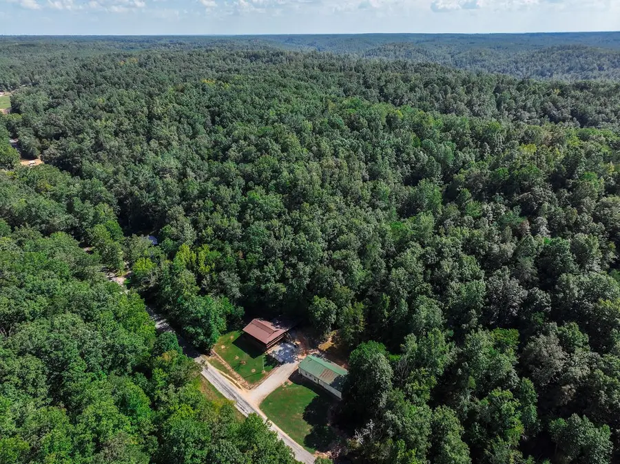 1285 Darbytown Rd, Hohenwald, TN 38462 - #2