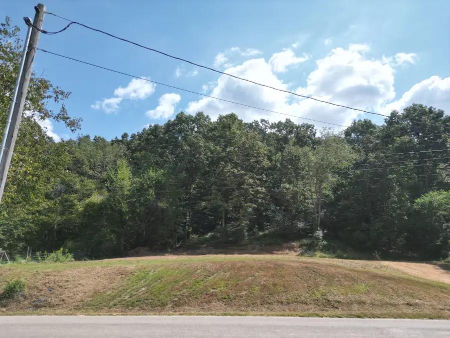 0 Hinson Street, Hohenwald, TN 38462 - #2