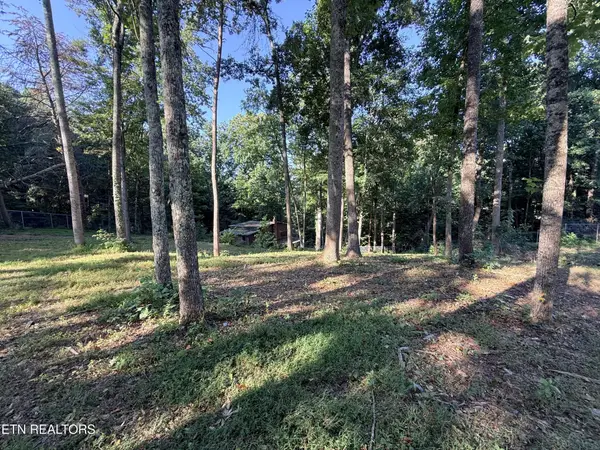 1465 Hickory Star Rd, Maynardville, TN 37807