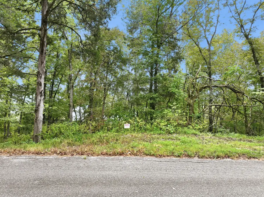 0 Horseshoe Bend Ln, Elmwood, TN 38560 - #2