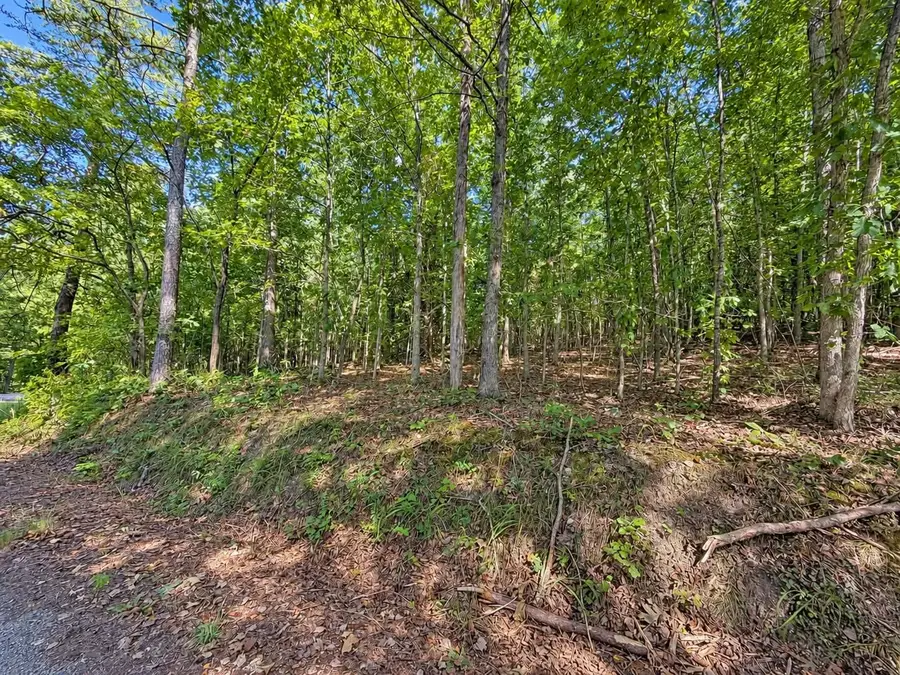 105 County Road 83, Athens, TN 37303 - #3