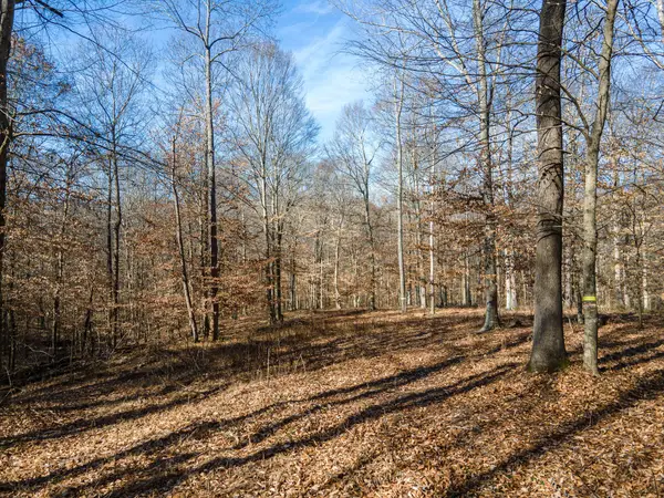 0 Highway 49, Ashland City, TN 37015