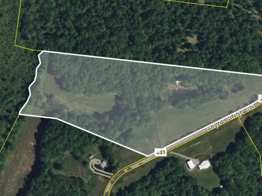 589 Hayes Ridge Rd, Indian Mound, TN 37079 - #2