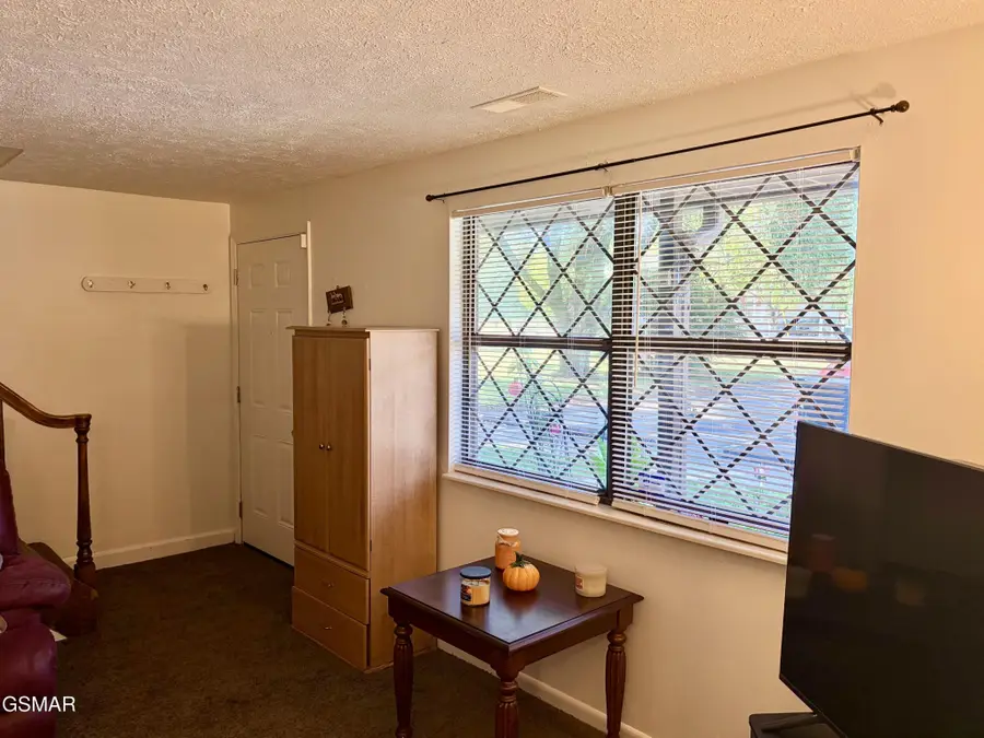 625 S Asbury Drive #20, Pigeon Forge, TN 37863 - #3