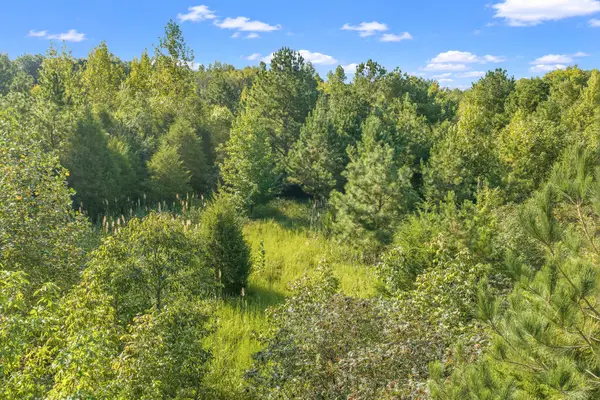 0 Horny Head Creek Rd, Parsons, TN 38363
