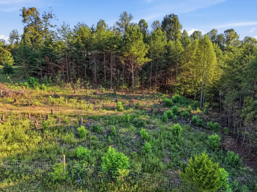 137 Vaughn Ln, Livingston, TN 38570 - #2