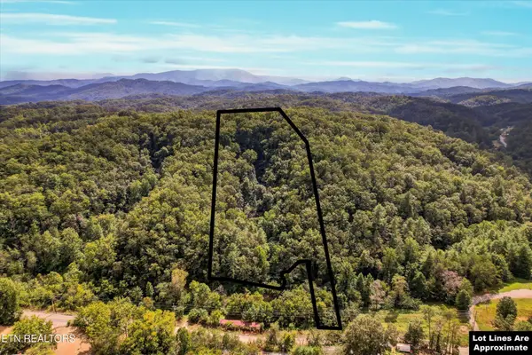 1316 River Divide Rd, Sevierville, TN 37862