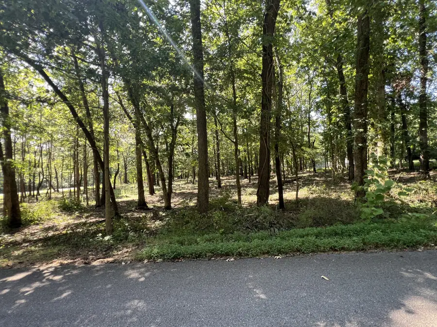 0 Forrest Dr, Paris, TN 38242 - #2