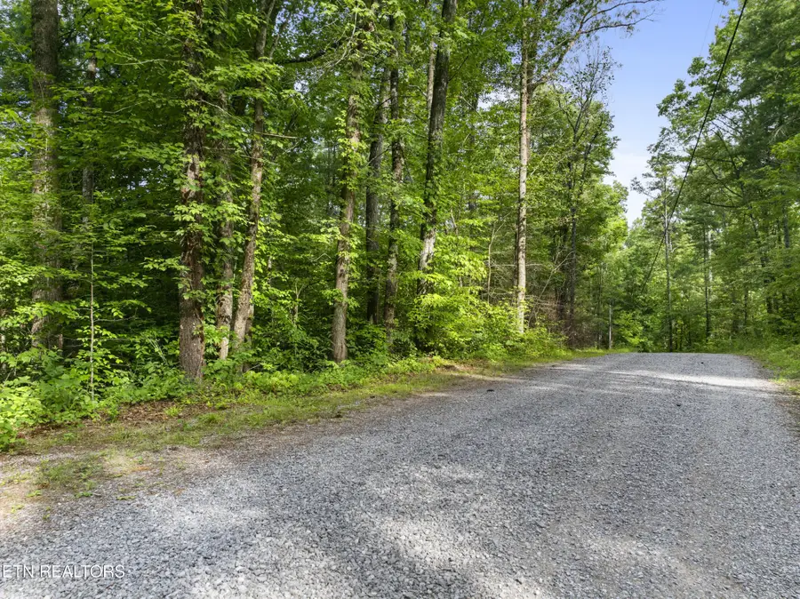0 Walnut Flats Rd, Walland, TN 37886 - #3