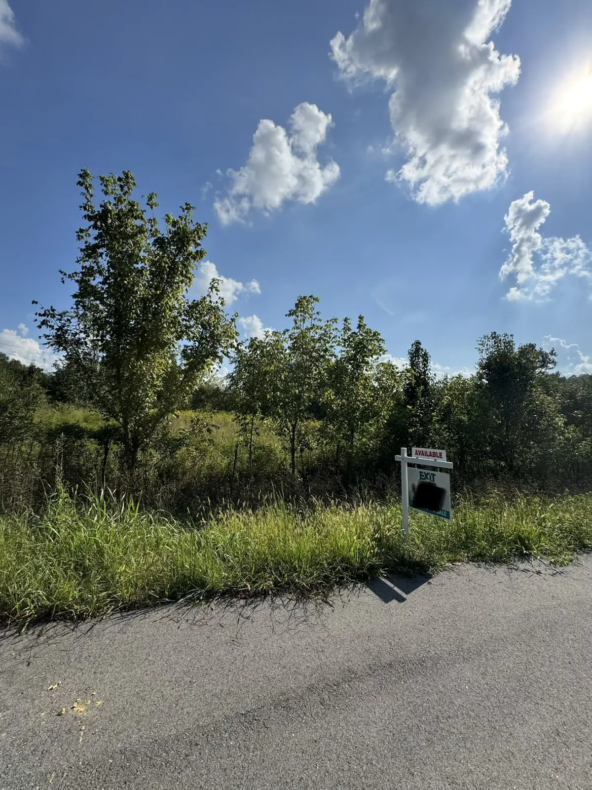 230 Running Meadows Rd, Portland, TN 37148 - #1