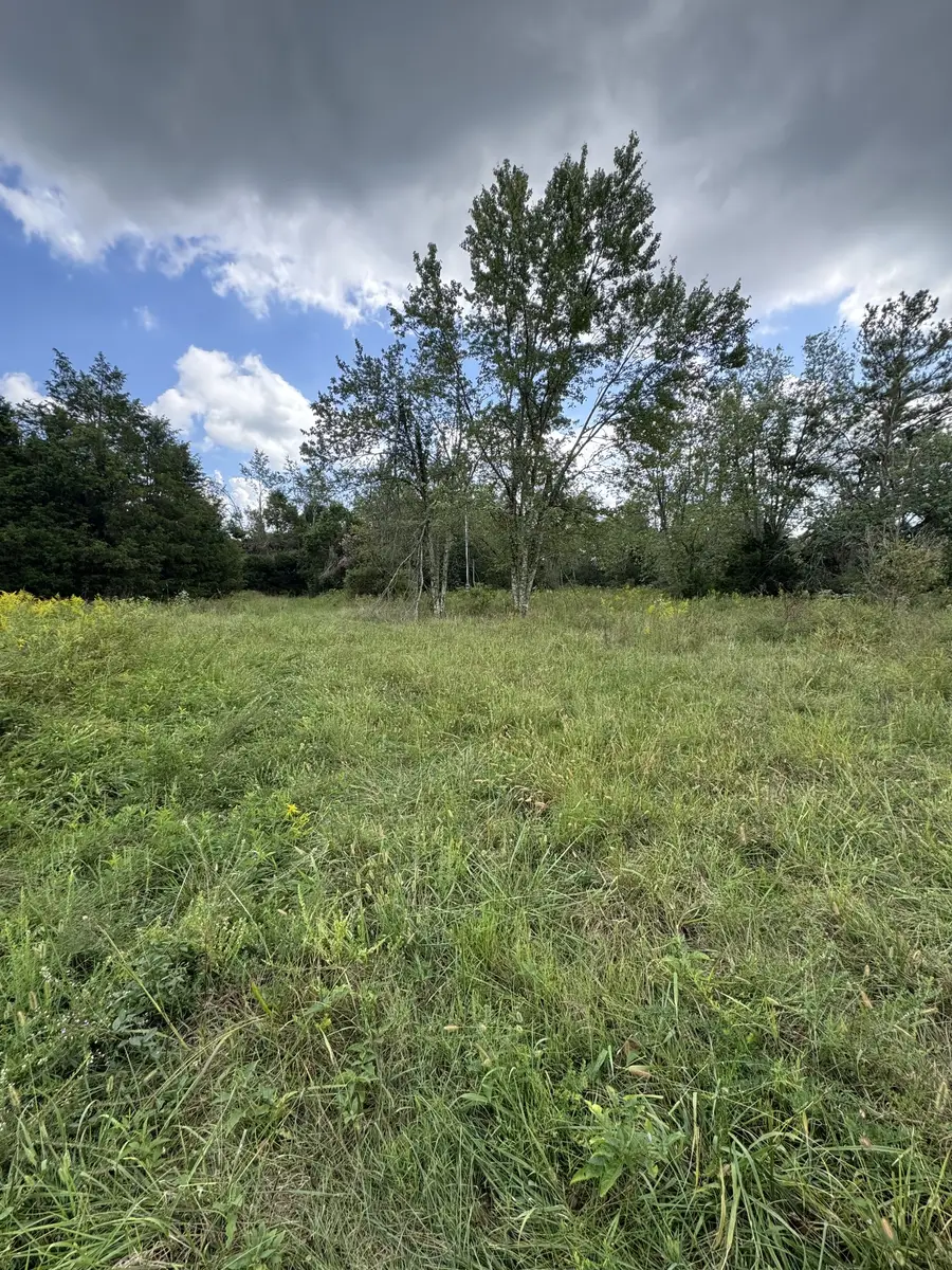 230 Running Meadows Rd, Portland, TN 37148 - #3
