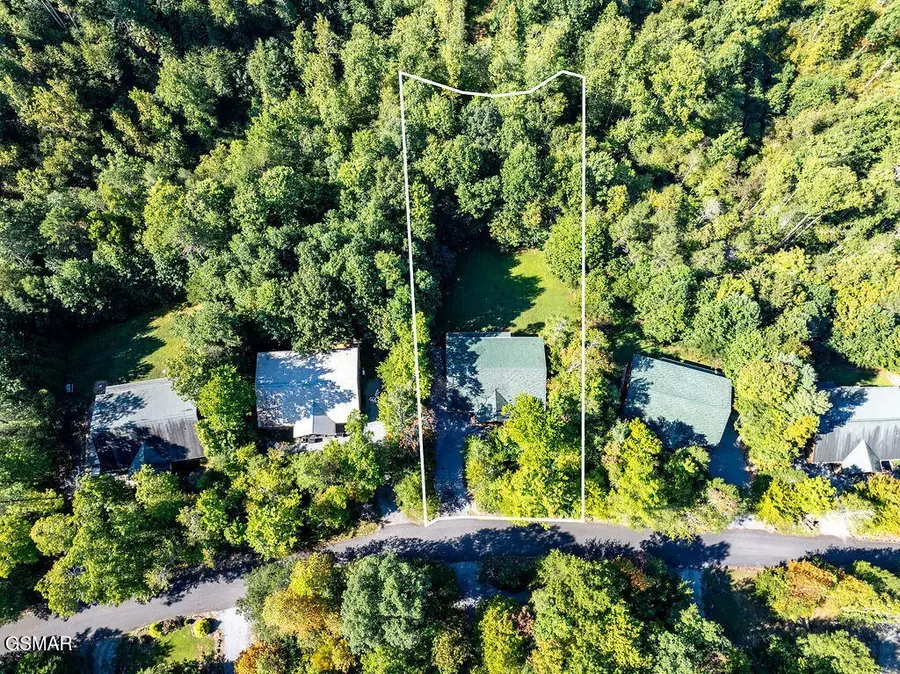 213 Amet Way #GRANDBEAR, Cosby, TN 37722 - #2