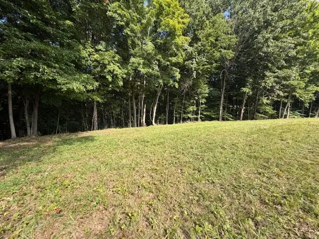 0 Collins Road, Allons, TN 38541 - #3