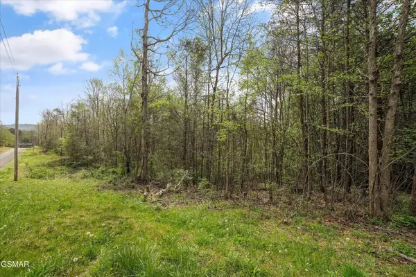 1433 Timber Trail, Newport, TN 37821