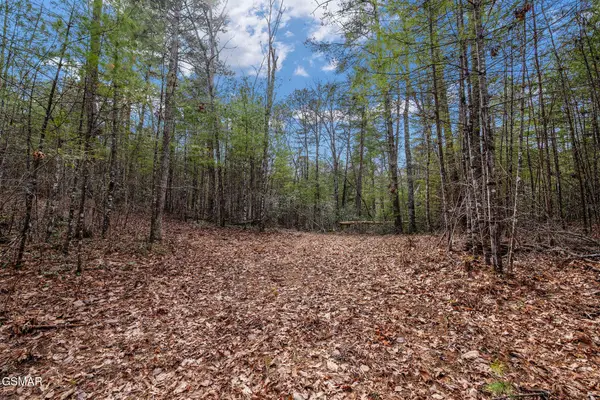 14 Paint Horse Way, Sevierville, TN 37876